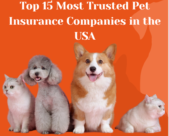 Top 15 Most Trusted Pet Insurance Companies in the USA (2025)